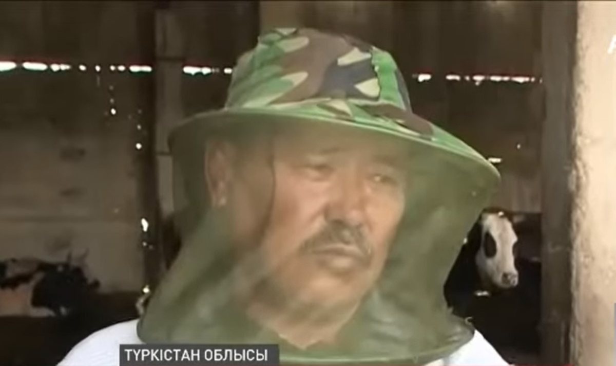 ширкей 2022
