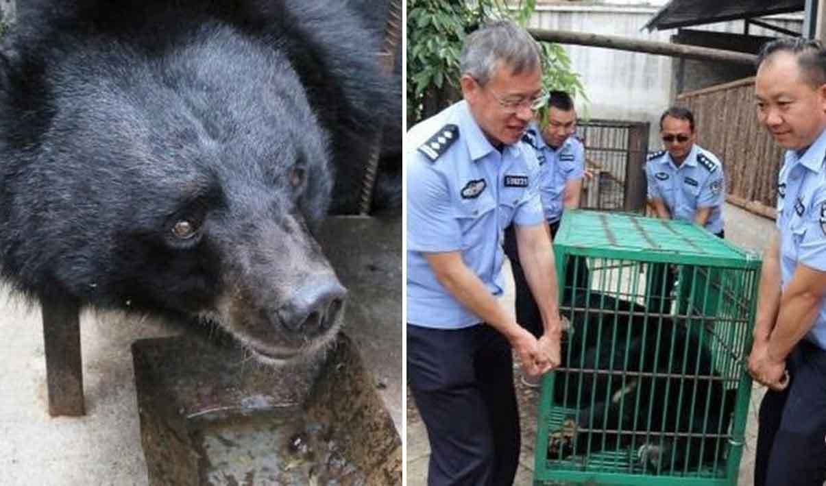 Жағажайда порно көру