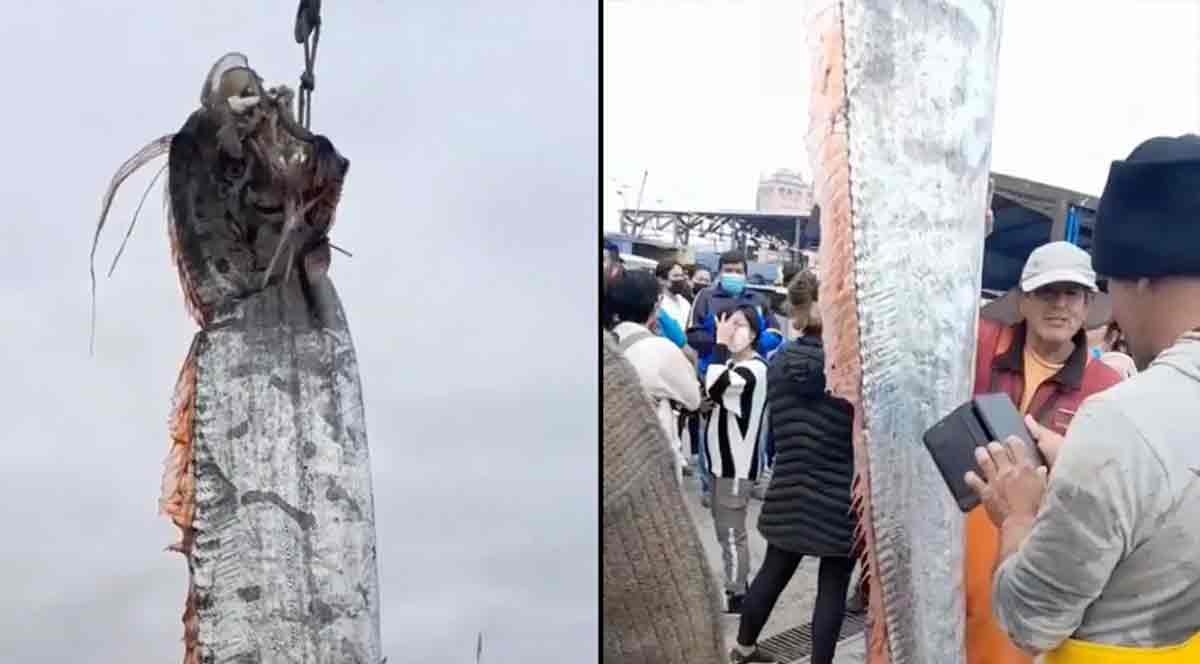 Жас күйеу ескі әйелді трахает Үлкен Марина порно видео