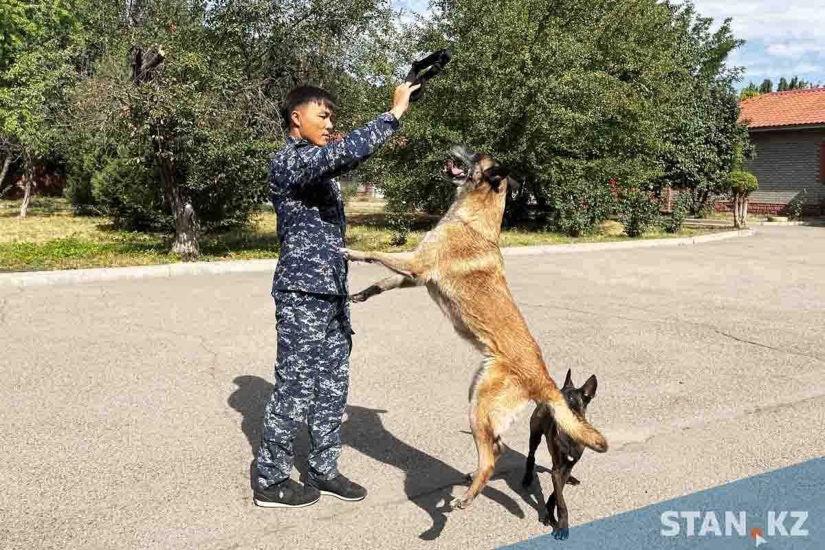 Анальный поп фото үлкен