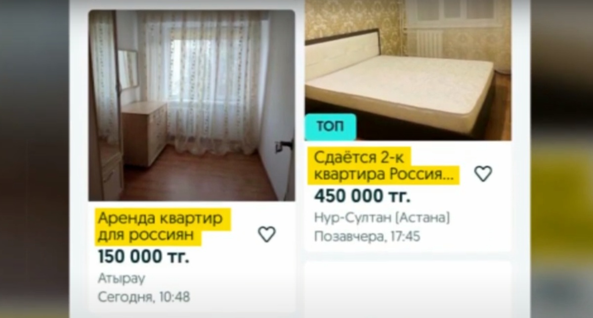 Жыртылған кискалардың суреттері