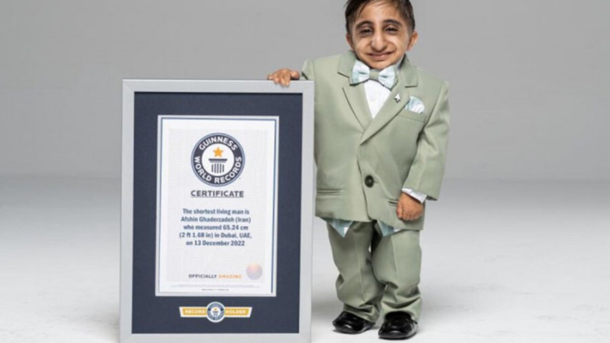 Trichopolum, Terzhinan немесе Fluconazole қабылдаған кезде жыныстық қатынасқа түсу керек пе?