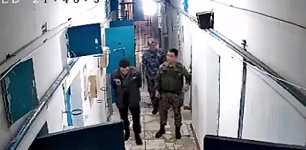 колония скрин