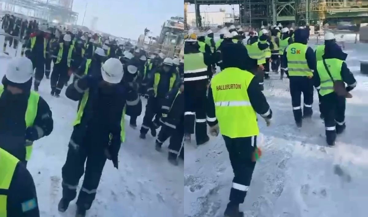 Тениз ереуил