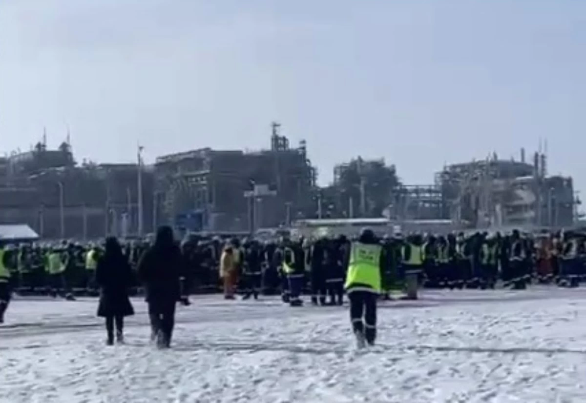 Тениз ереуил 2