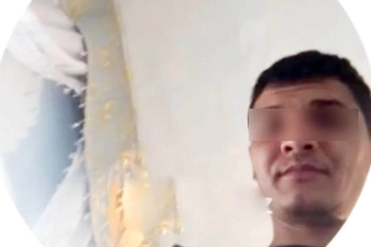 Краснодар БДСМ сайты