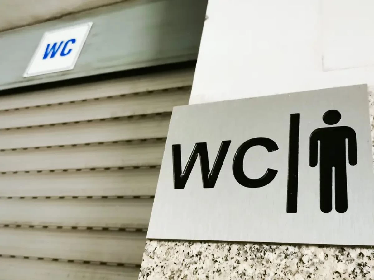 Орыстың есектері