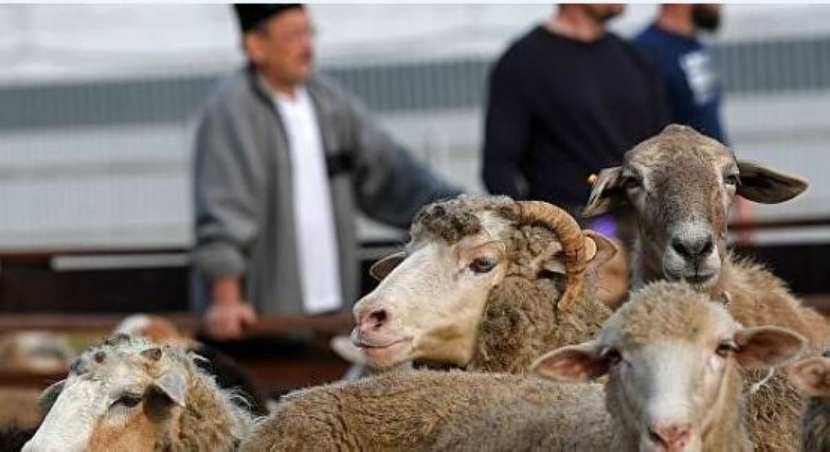 Шашты порно түсіріп алды Өте кәрі әже интернеттегі порно бөтелкесін итеріп жібереді