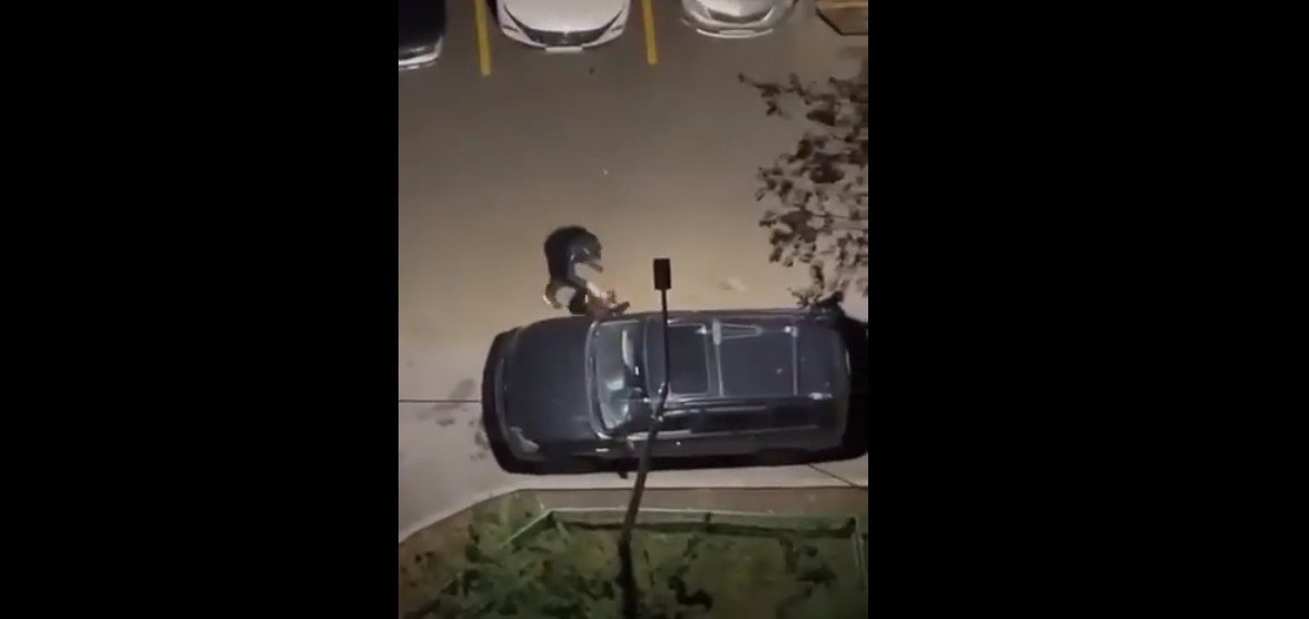 Неліктен әйелдер сперматозоидты ұнатпайды