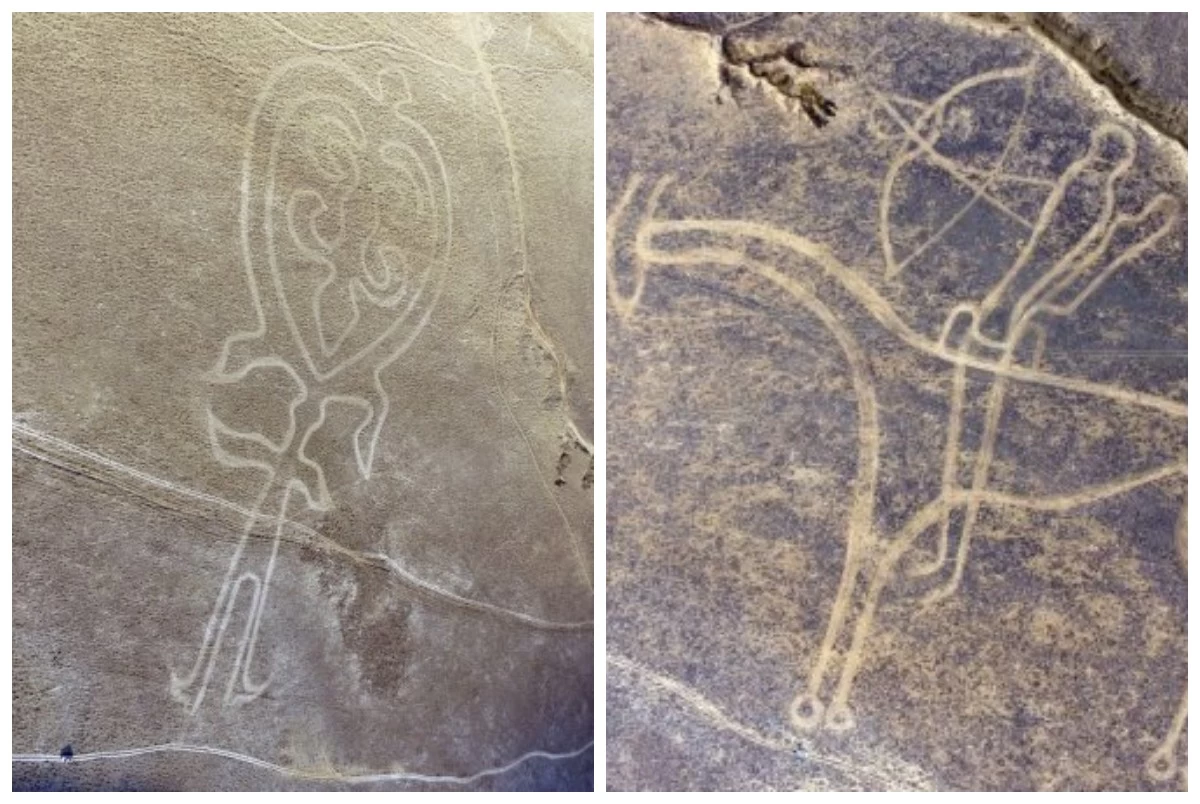 Транссексуалдық порно көру