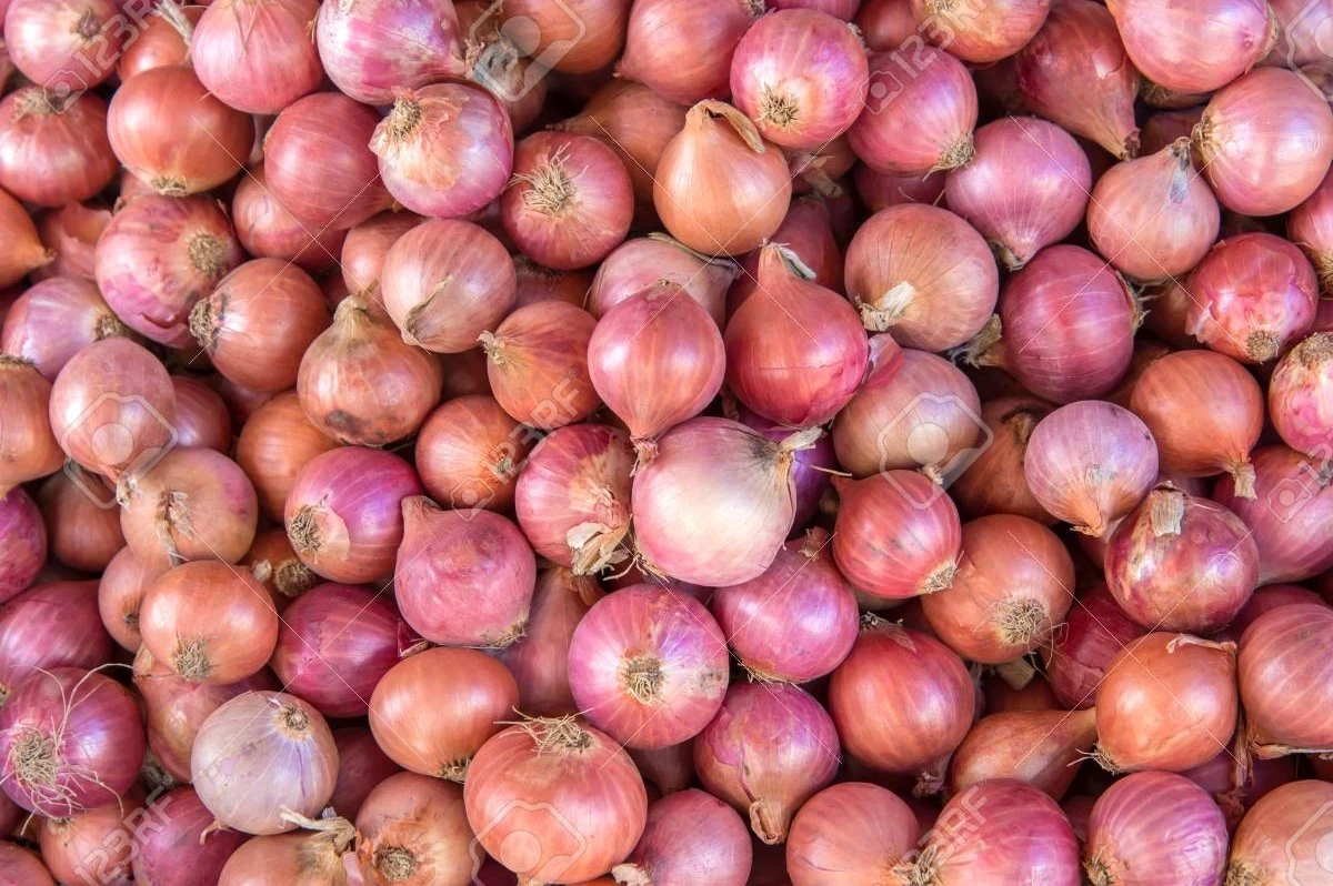 Ауыл шаруашылығы