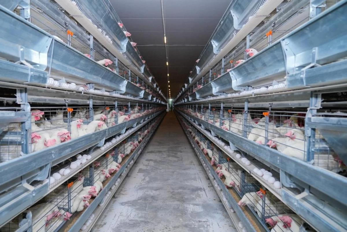 Питер Пан порно комикс