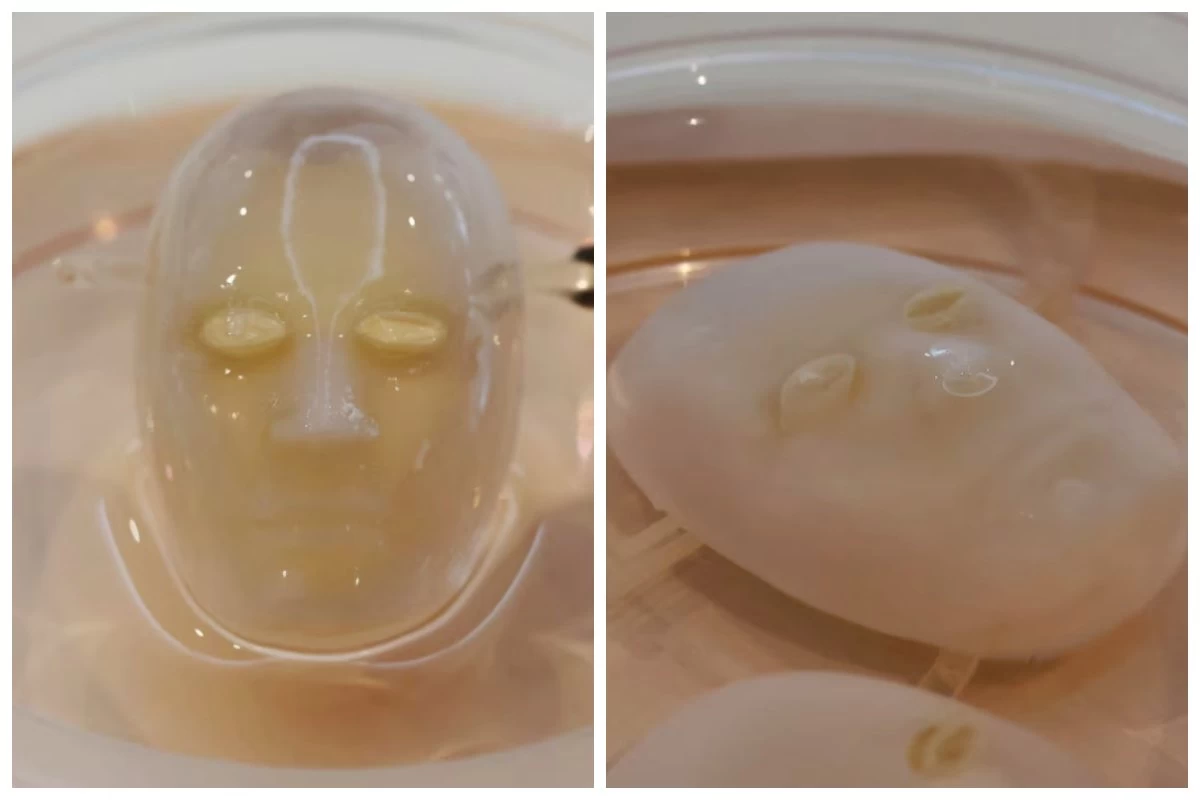 Жапония ғалымдары роботқа адамның тері жасушаларын бекітіп, оны "күлдіру" әдісін ойлап тапты (видео)