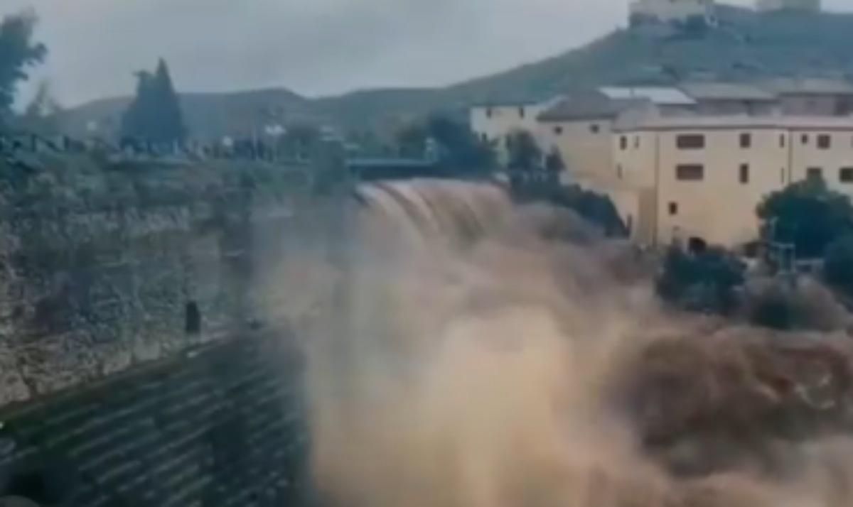 Түкті үлкен киска жақын