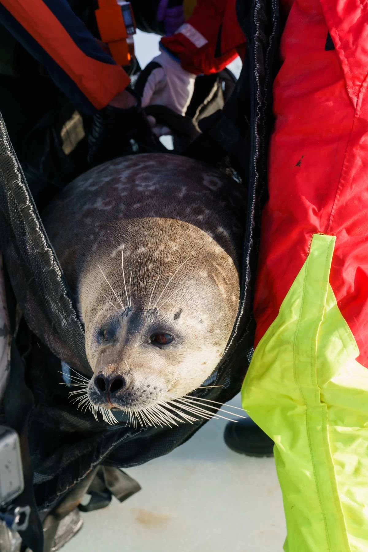 Порно блогтар