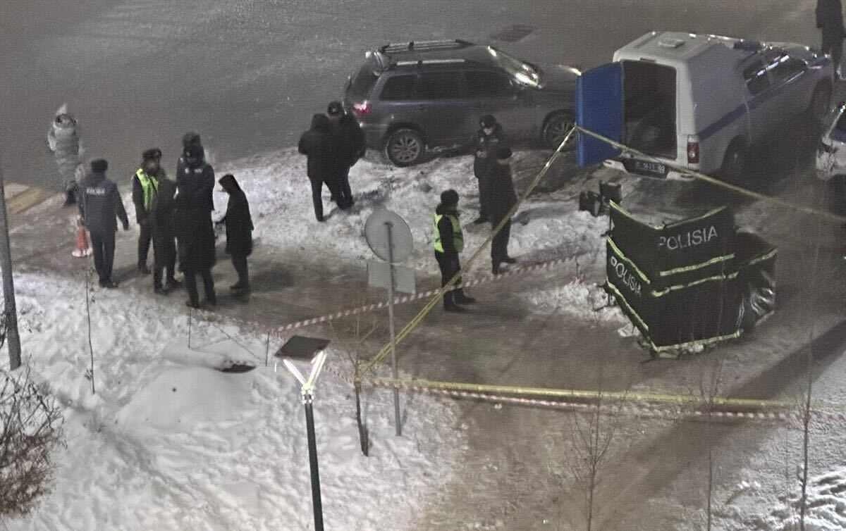 Қынаптағы үлкен жемістердің фотосы