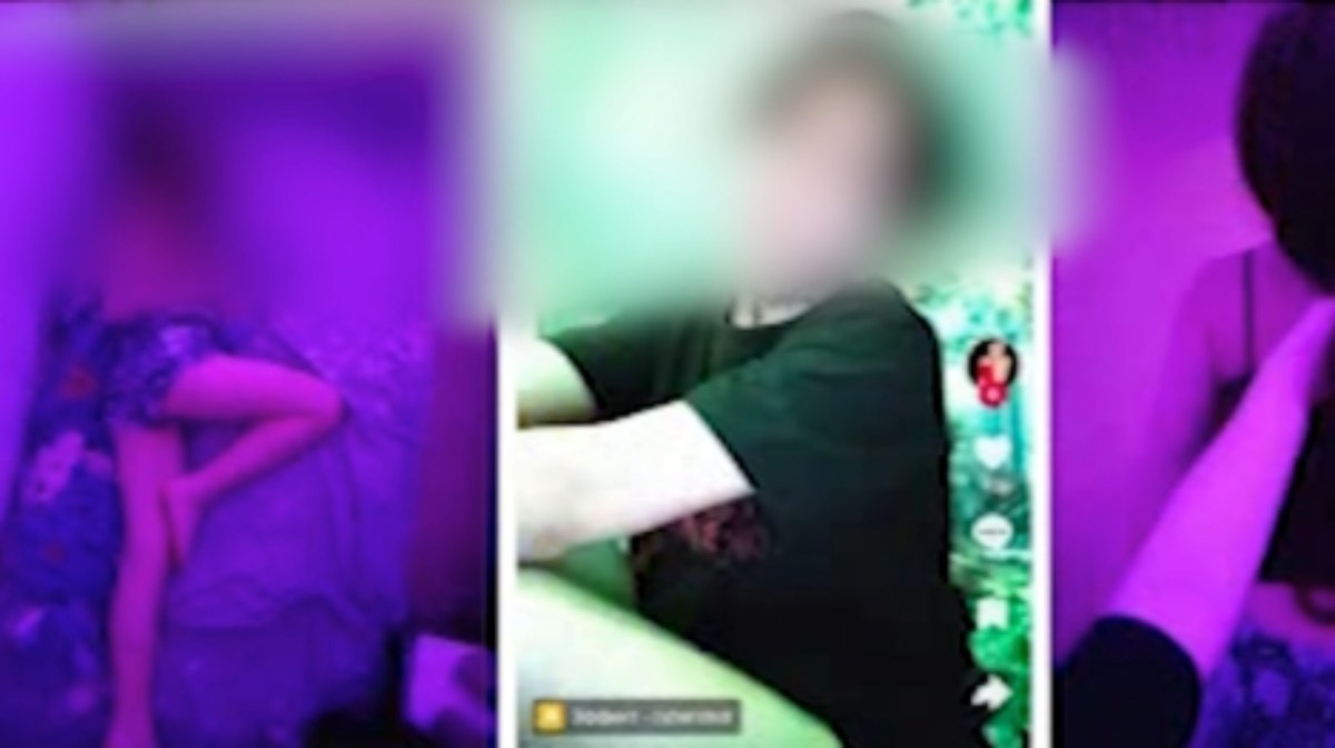 Википедиядағы барлық порно жұлдыздар