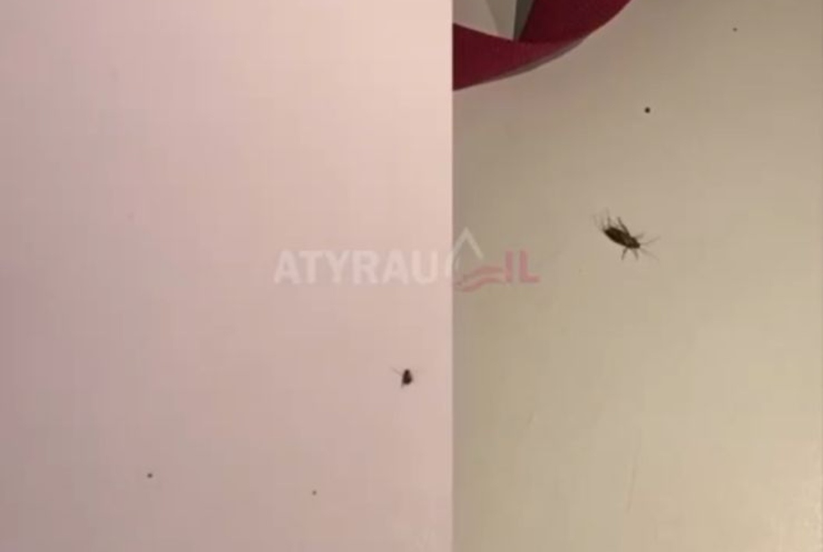 Эротикалық мөлдір көйлектердің фотосуреттері