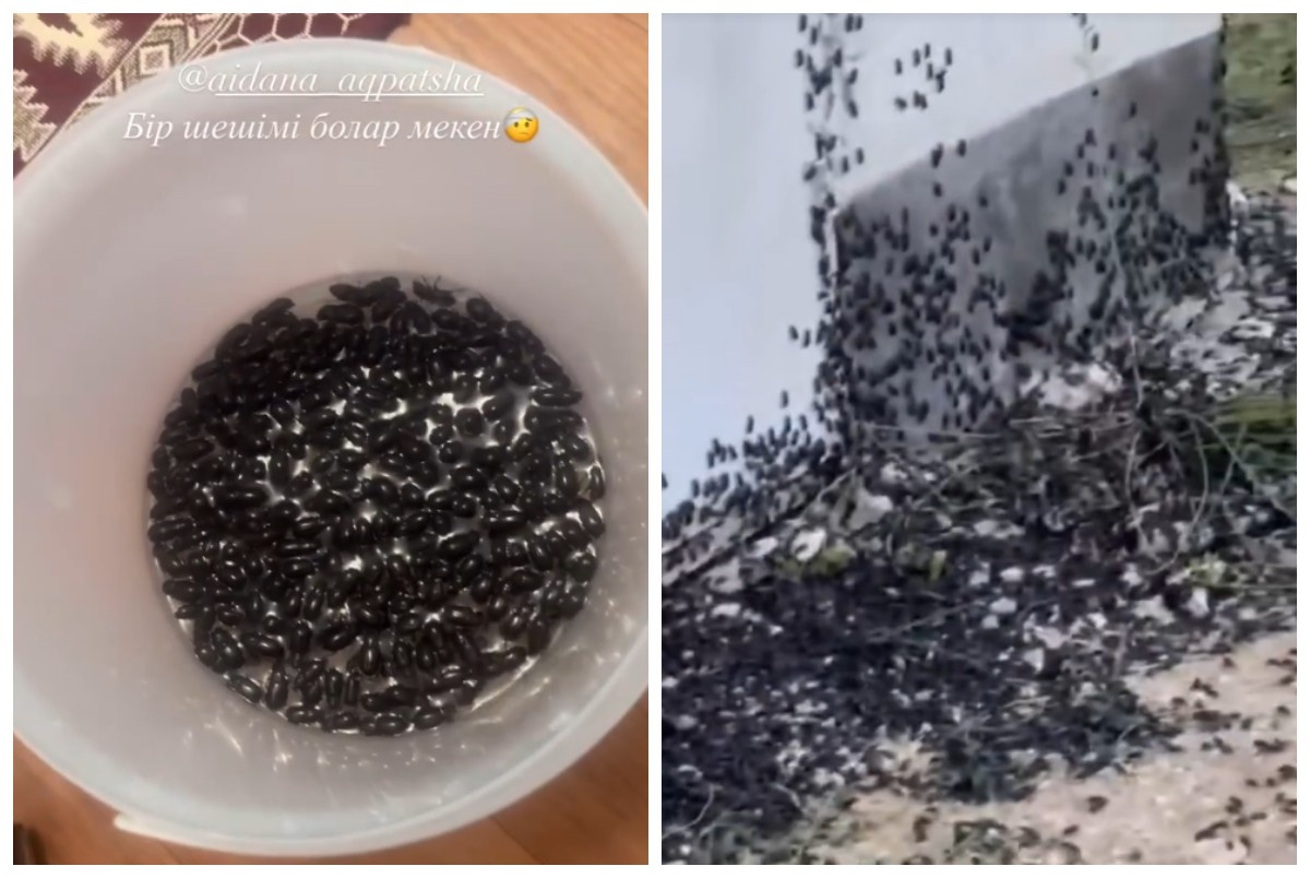 Әйелдеріміздің жезөкшелерінің суреттері