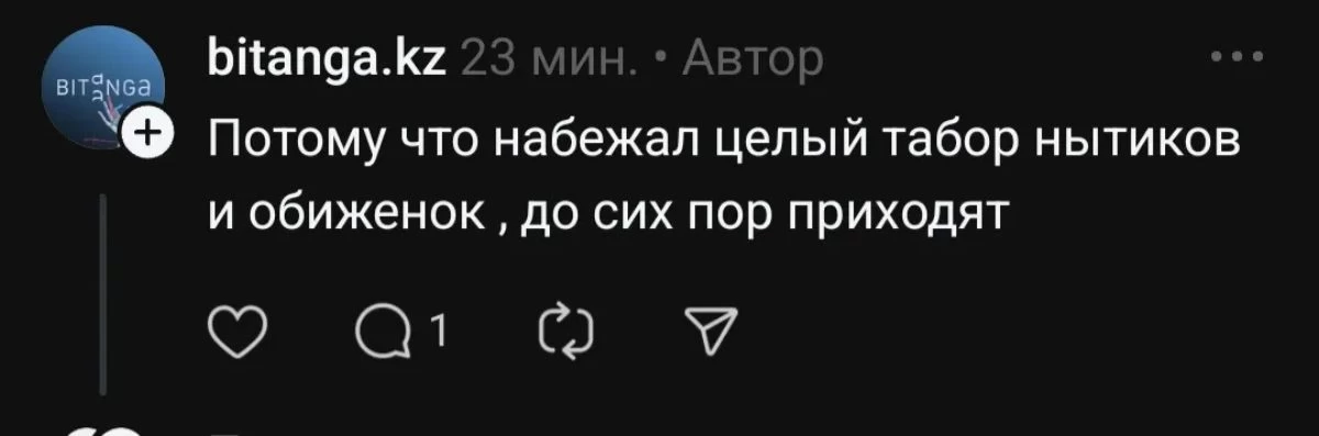 шымкенттіктер ренжігіш