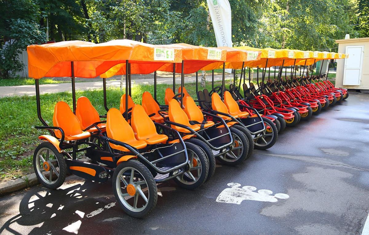 Жалаңаш еркек полицейлер Айқайлағанша есектің ішінде