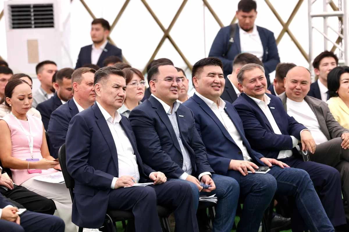 размещение