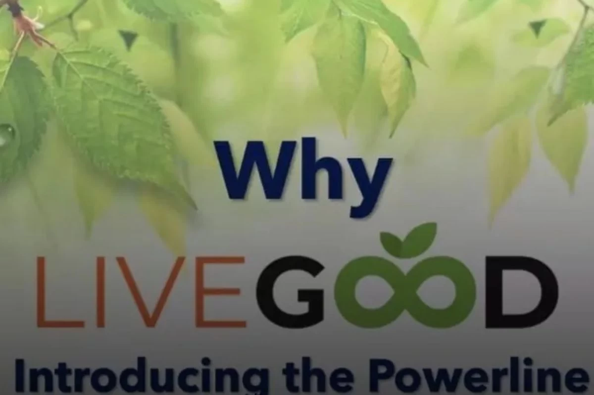 livegood пирамида