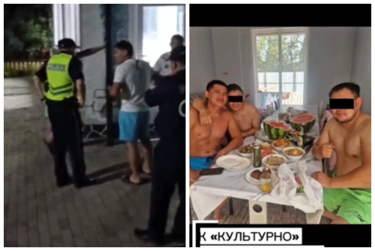 жекпе-жек жаттықтырушылары төбелес 