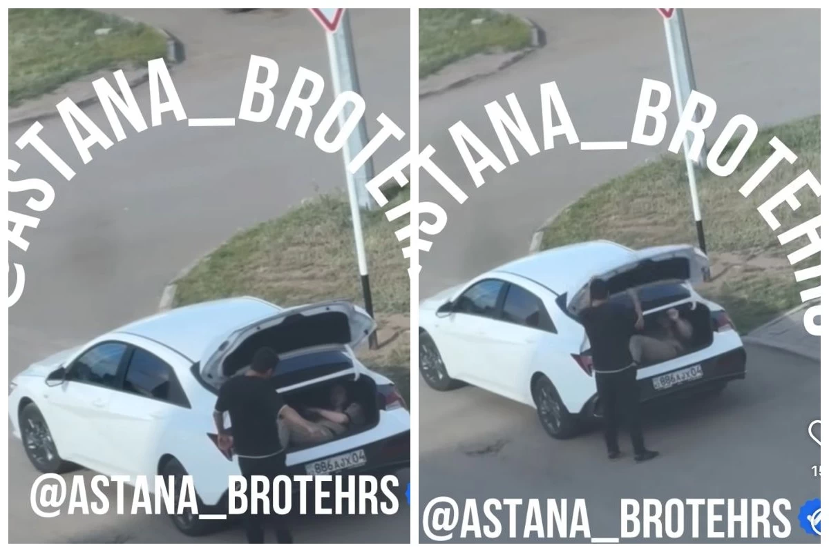 жүксалғышта тасымалдаған