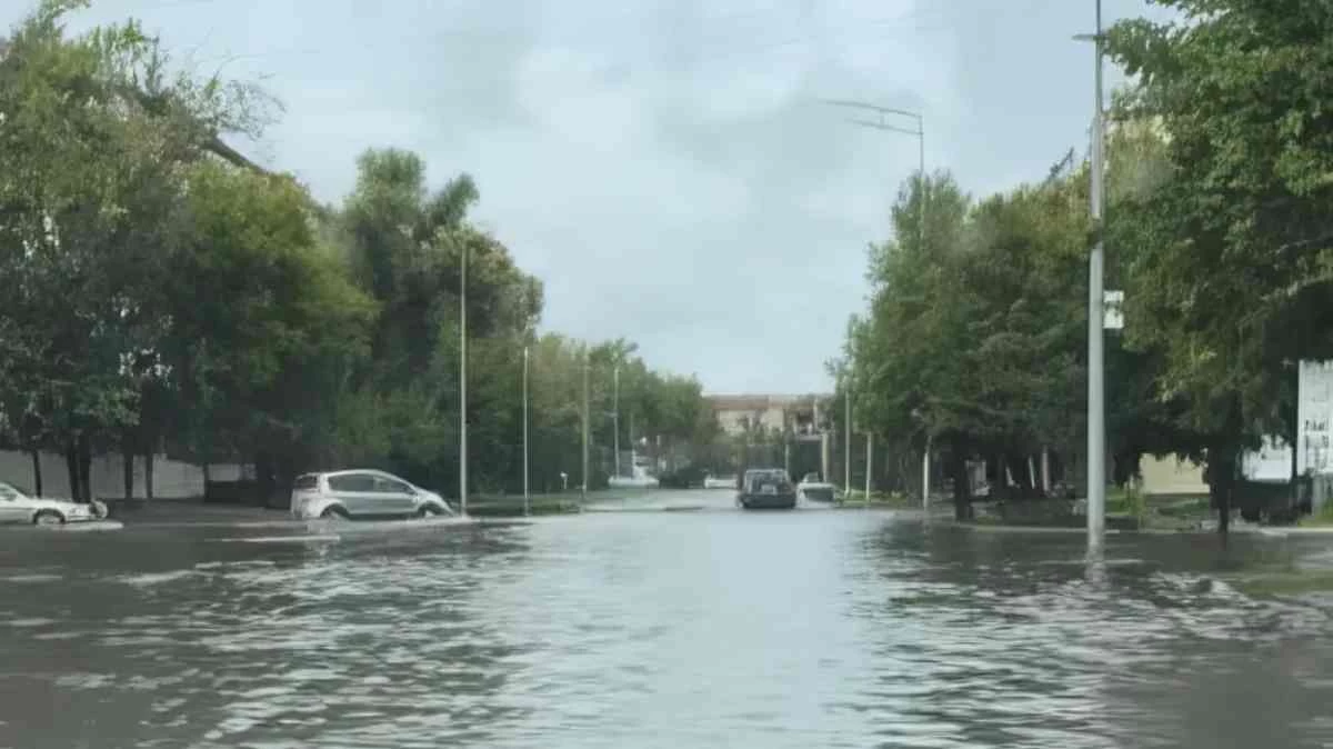 петропавл жаңбыр