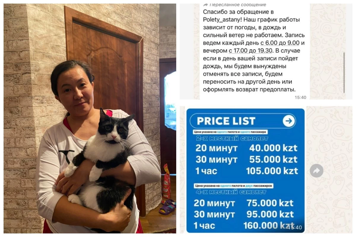 Апат болған ұшақта үш баланың анасы Диана Ахметова болған