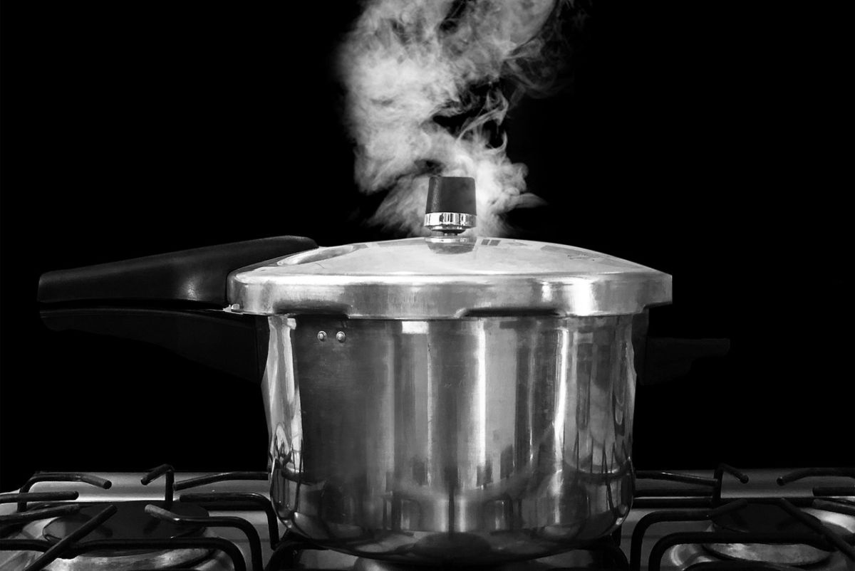 Кесілген қынаптардың фотосуреттері