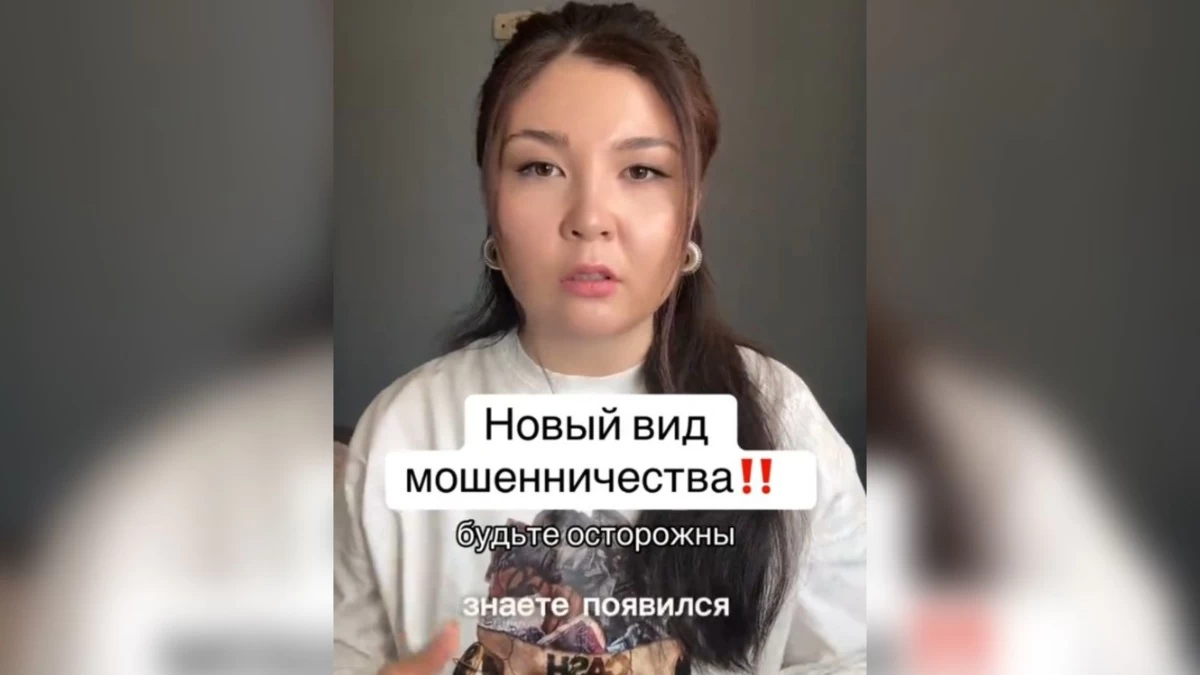 алина хасанова алаяқтық туралы