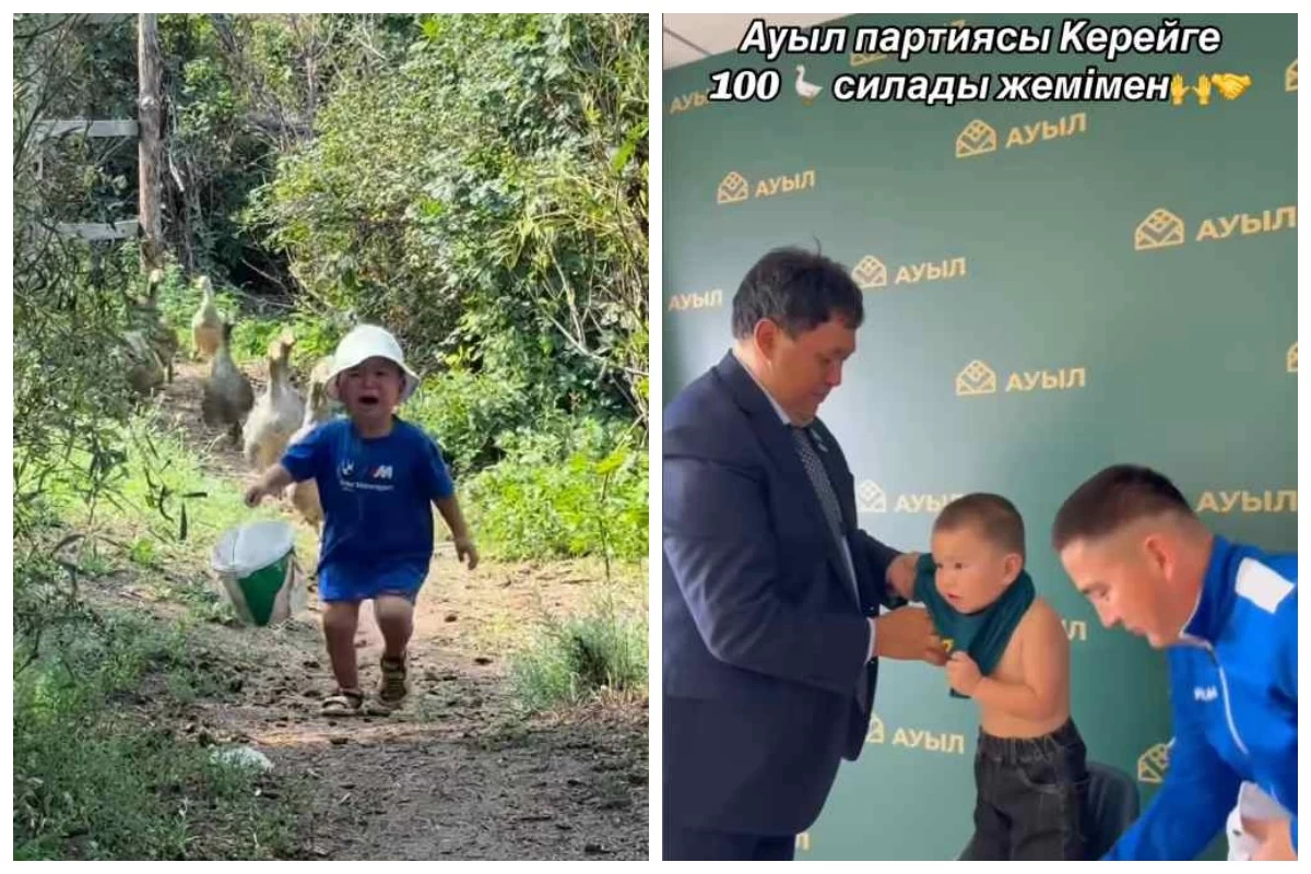 қаздан қашқан