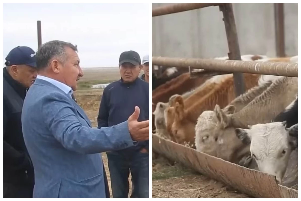 Ақтөбе облысында шаруалар