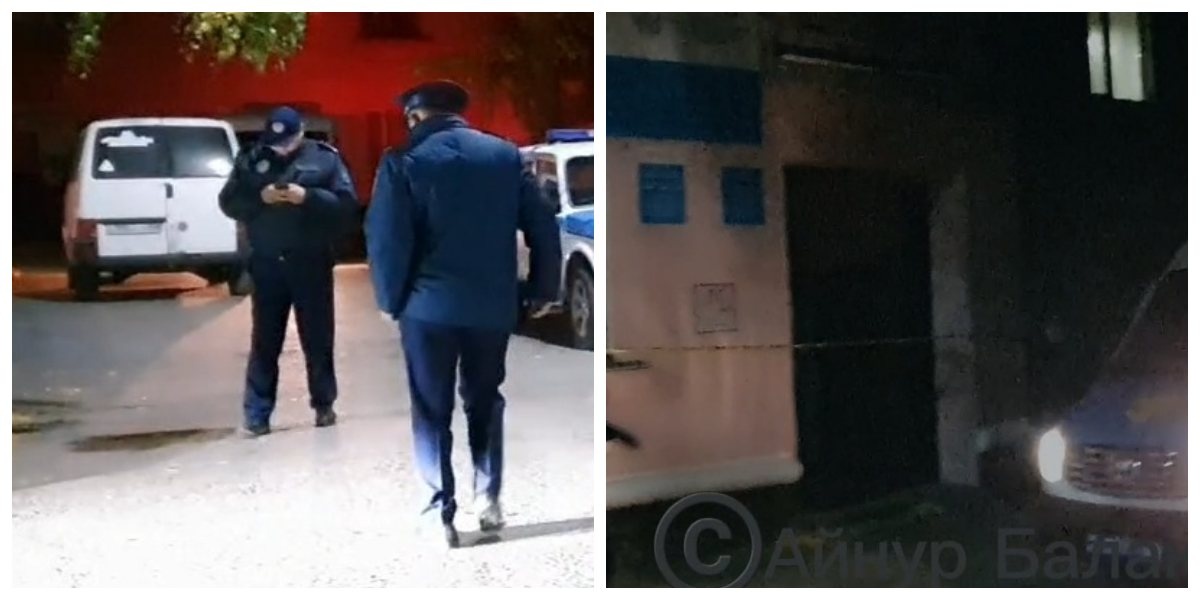 Рогоноз би порно видео