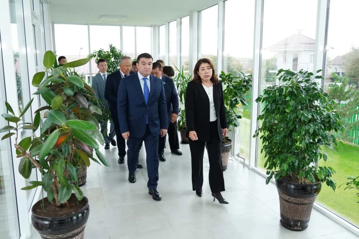 размещение