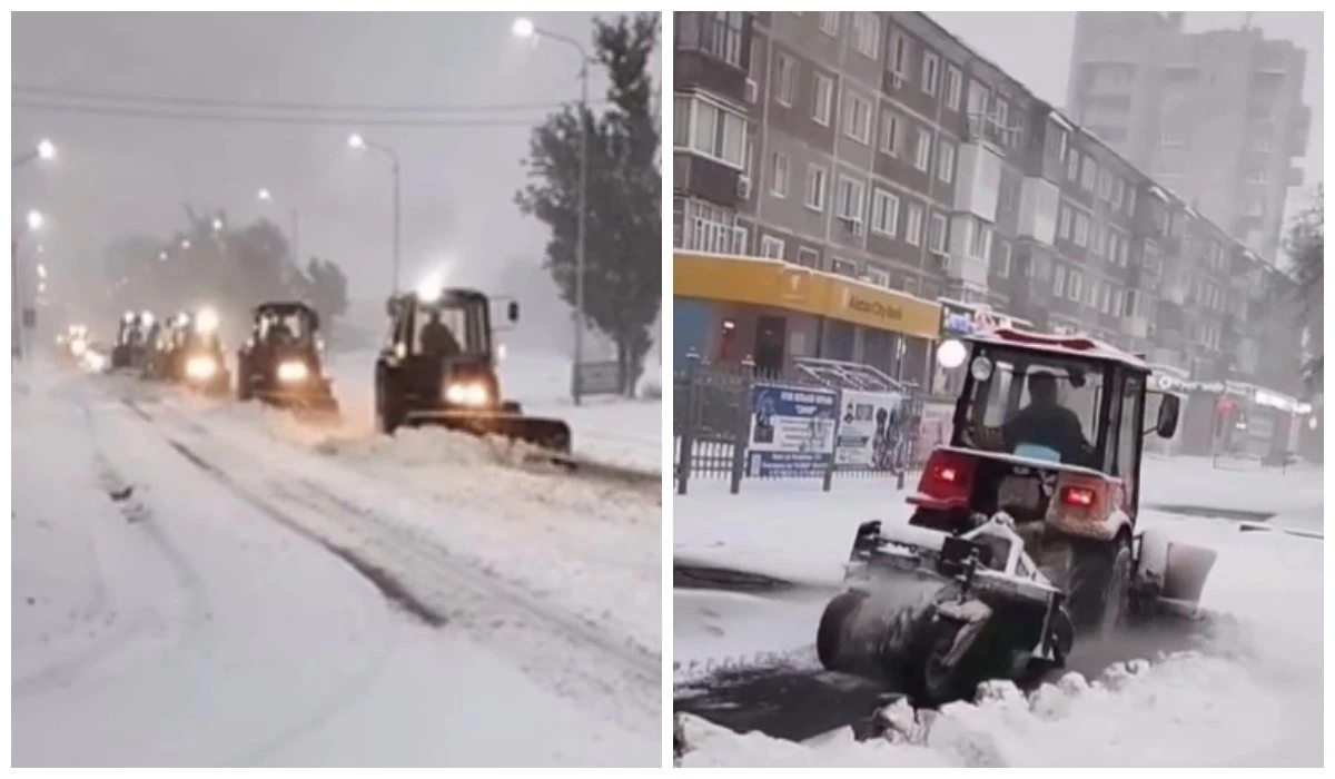 Павлодарға 