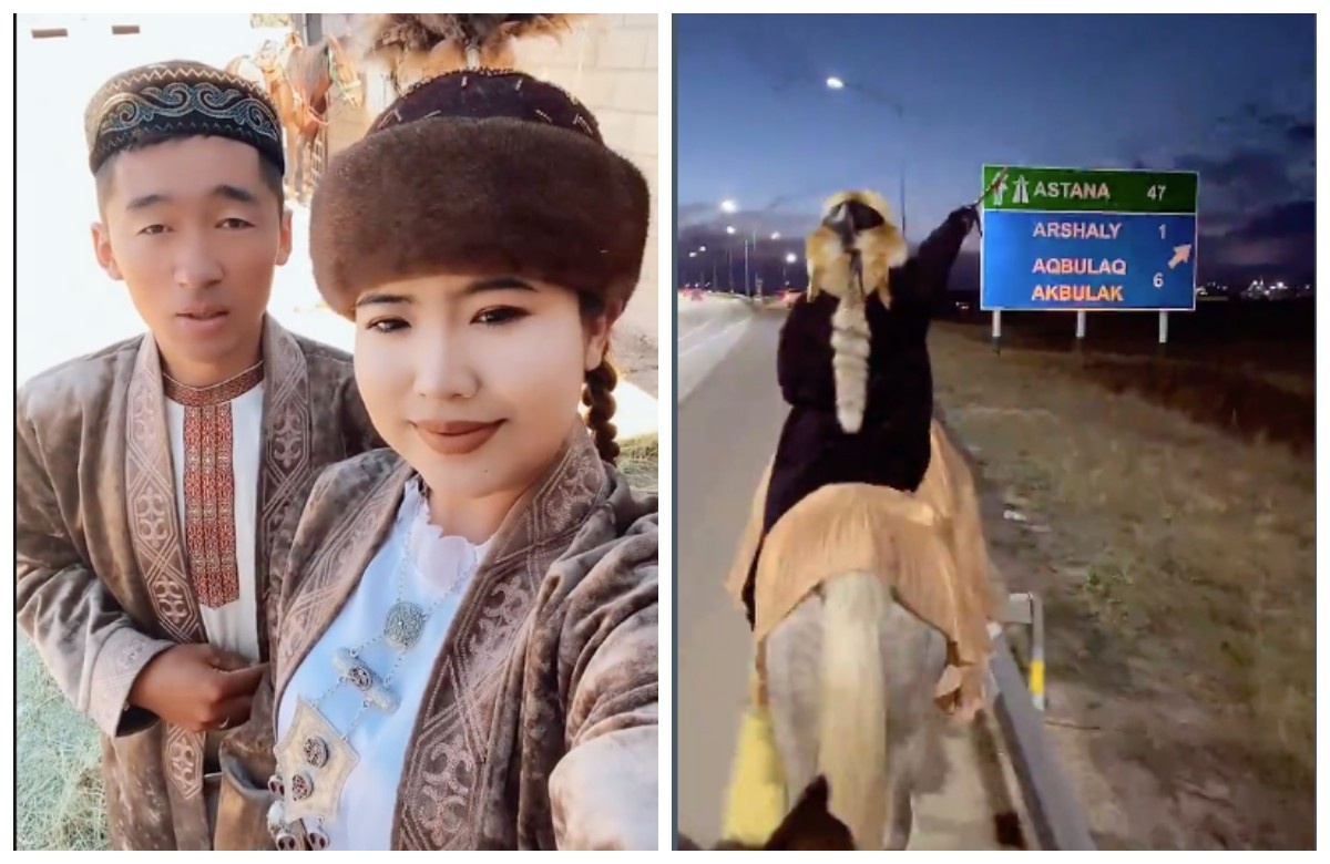 Желідегі жыныстық тәрбие туралы бейнелер