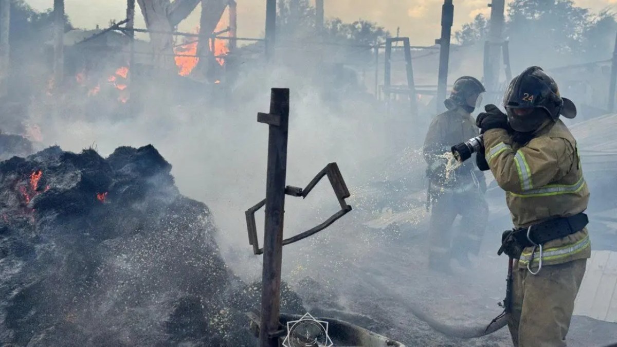 Мэй Теруми секс порно