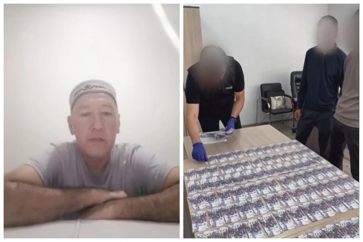 стомотолог 