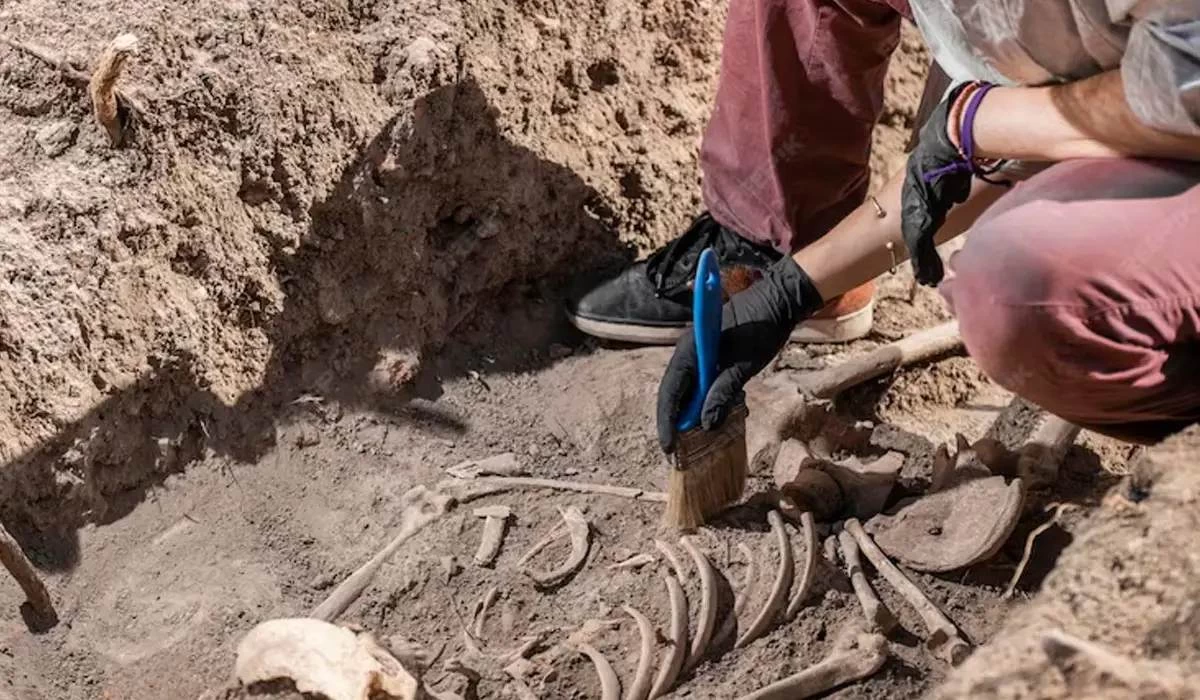 археология