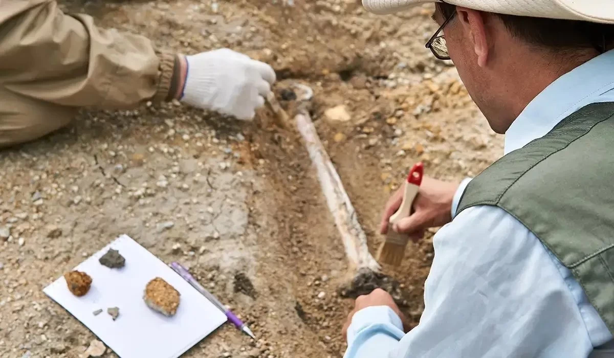 археология