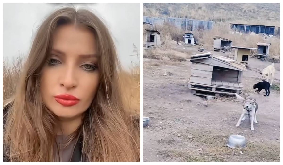 Порно путевка әйелінің кискасын жалайды