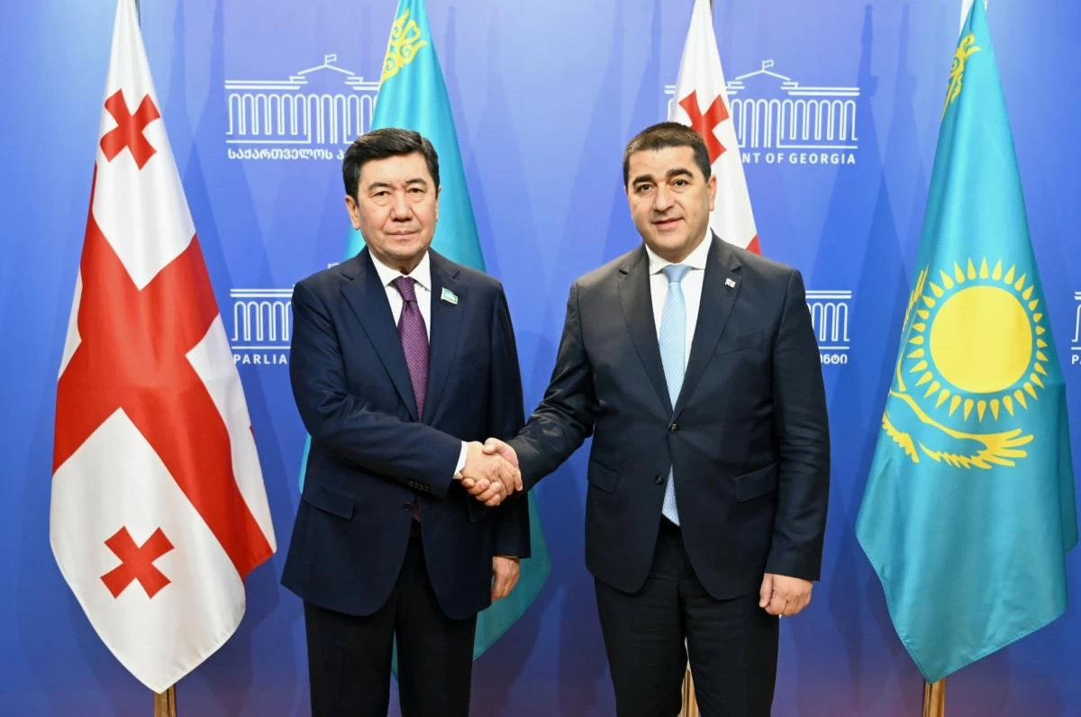 Мәжіліс пен Грузия парламенттері заң шығару бағытында тәжірибе алмасады