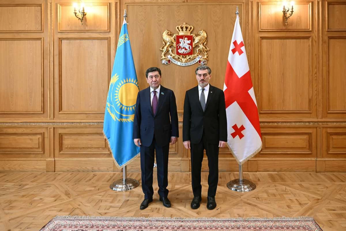 Мәжіліс пен Грузия парламенттері заң шығару бағытында тәжірибе алмасады