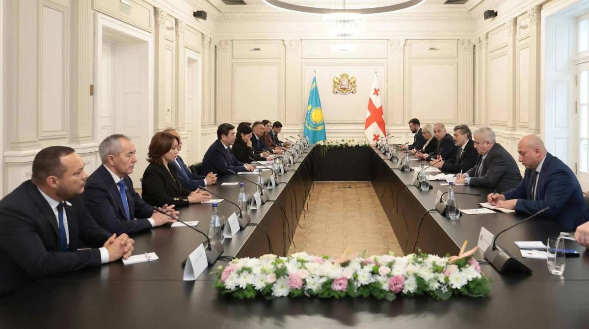 Мәжіліс пен Грузия парламенттері заң шығару бағытында тәжірибе алмасады