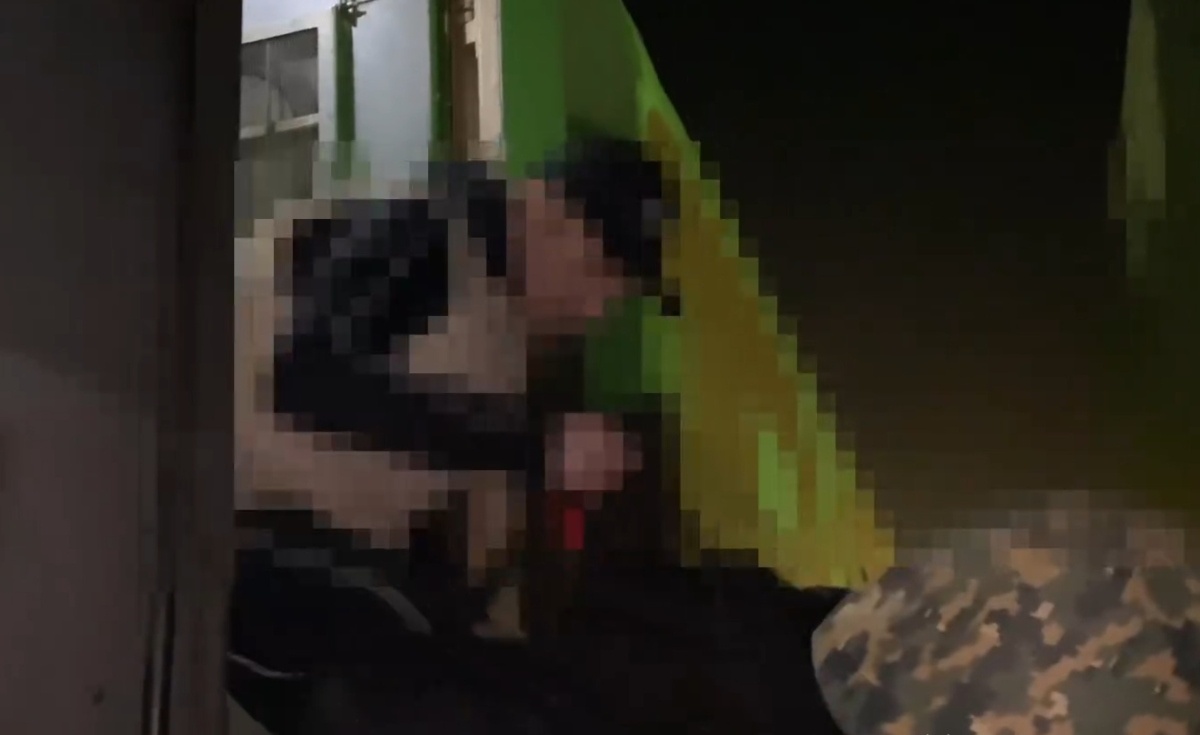 Мен ең жақсы ресейлік порно актерлердің тізіміне наразылық білдіремін