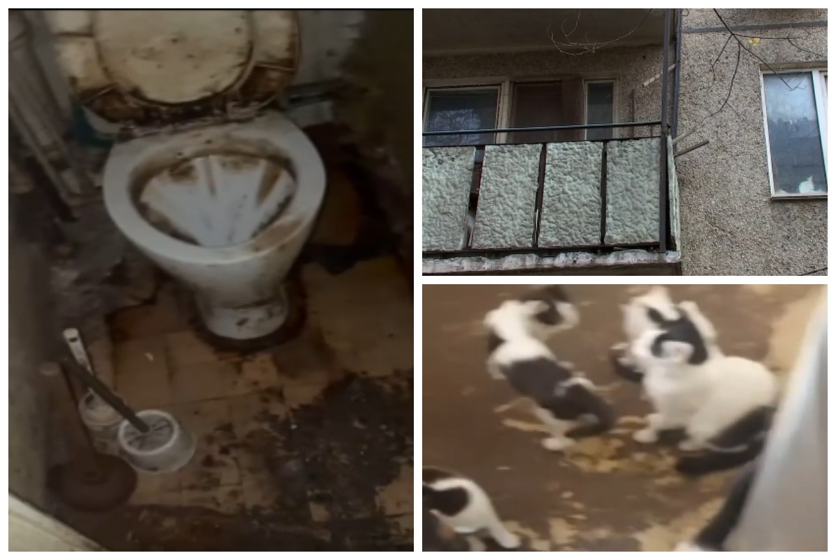 Екеуі жезөкшеге мас болып, бірге сиқыған