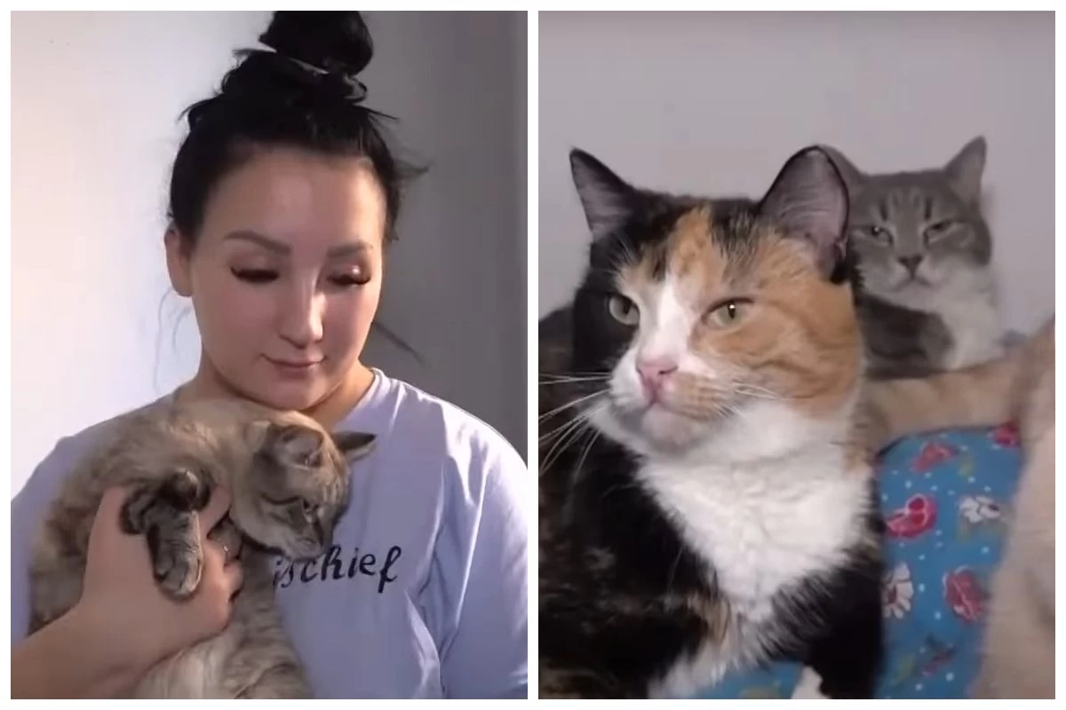 Петропавлдық жетім қыз жүз жиырмадан астам ит пен мысықты асырап алған